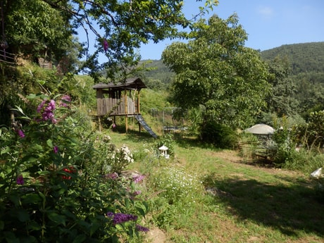 Glamping 282 Relvas photo 6