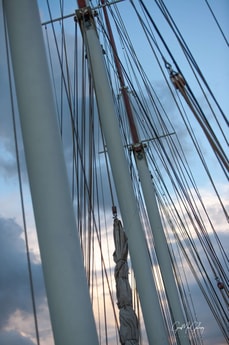 River trip 48 Rotterdam photo 1
