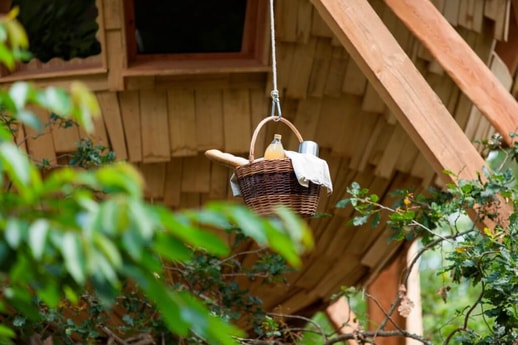 Treehouse 109 Tours photo 5