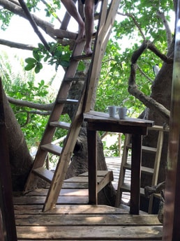 Steps to the top deck for a cup of delicious Honduran coffee with the hummingbirds and woodpeckers.