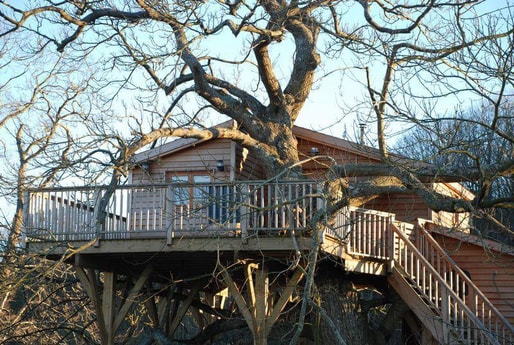Treehouse 61 Bellou-le-Trichard photo 3