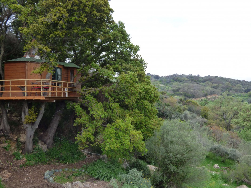 Treehouse Rethymnon Elvenholm Hideaway Cretes 1st Treehouse