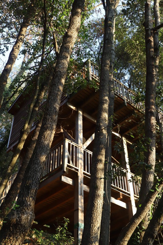 Lofty Two-Storey Treehouse